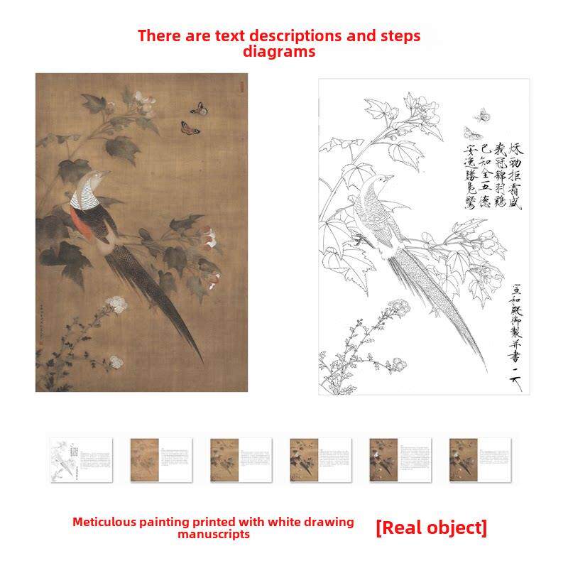 工笔画打印底稿宋画临赵佶芙蓉锦鸡图 临摹初学者线描过稿素材