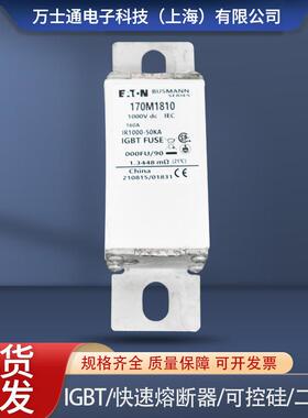 170M1810/1803/1804/1805/1806/1807/1808/1809/1810-熔断器