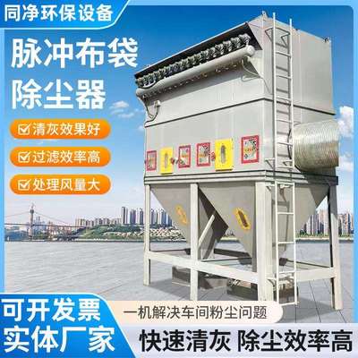 脉冲布袋除尘器小型单机除尘器生物质燃煤锅炉布袋除尘器现货