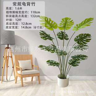 仿真绿植假盆栽龟背竹室内橱窗装饰龟背叶橄榄树