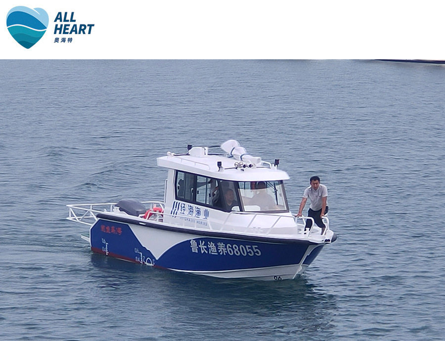 海航1000铝合金V型底巡逻艇