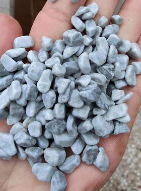 供应贝壳灰石子海浪灰卵石工程铺路灰色石子浅灰胶粘石