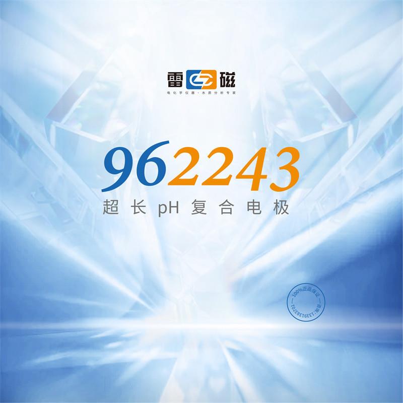 上海雷磁962243超长pH复合电极