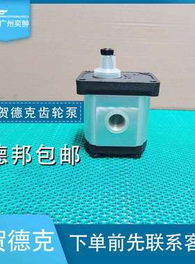 贺德克HYDAC进口PGE101-420-RBQ1-N-3700齿轮泵