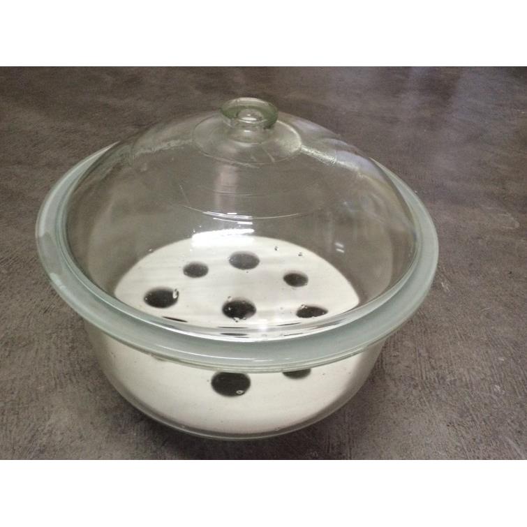 400mm透明玻璃干燥器玻璃附瓷板干燥皿白色玻璃燥器
