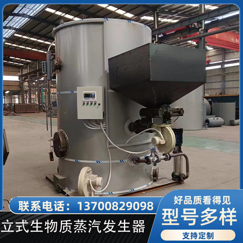 灭菌豆制品洗涤生物质蒸汽发生器