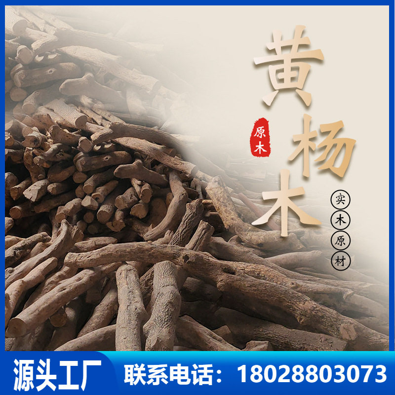 御圣黄杨木木料原木料雕刻练手湖北神农架黄杨木料