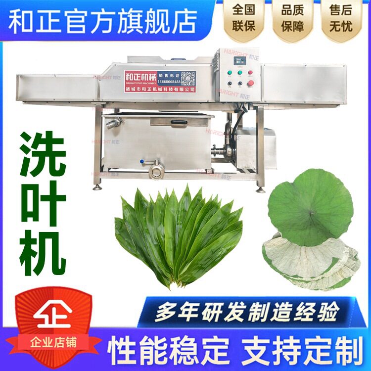 粽叶清洗芦苇叶胡叶清洗机器黄粑叶清洗设备洗枇杷叶箬竹叶机