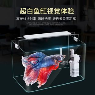 客厅小型鱼缸透明热弯玻璃超清鱼缸带氧气灯光造景创意桌面水族箱