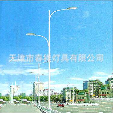 天津春祥灯具直销6米多种规格户外道路双臂灯杆路灯杆