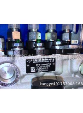 喷油泵总成4PL127JS3HA1127和4PL137G和4PL203和*4PL1380