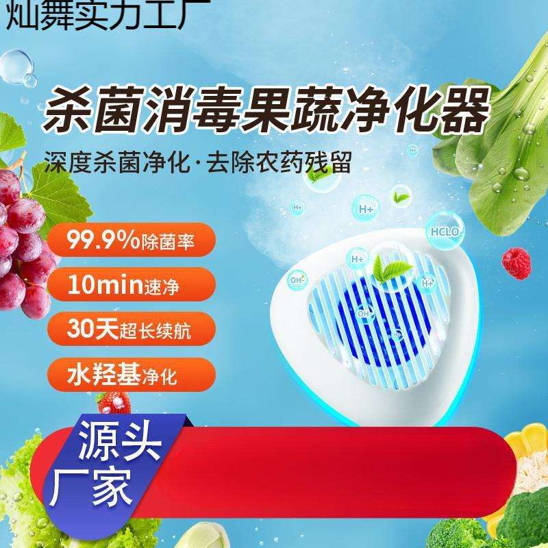 德国蓝宝无线果蔬清洗机家用除农残洗菜机全自动食材净化器洗水果