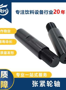 张紧轮轴/L=160+35M30反牙