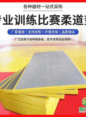 柔道垫专业比赛摔跤训练垫跆拳道巴西柔术JUDO柔道垫子