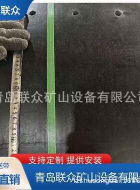 联众ST1000斗提机提升带钢丝绳带芯打孔输送带耐磨耐高温耐酸碱