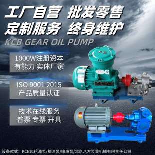 KCB齿轮抽油泵大流量输送泵铸铁不锈钢材质大量现货多型号