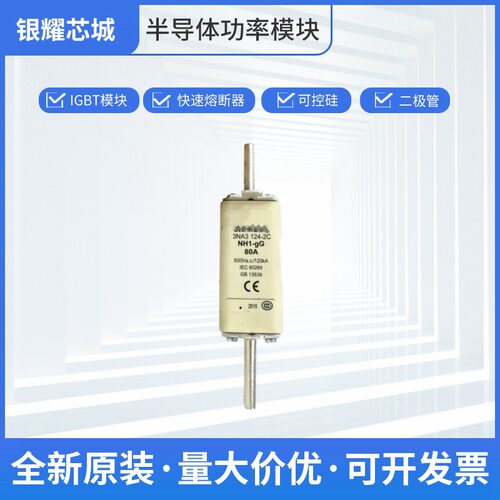 交流 保险丝 3NA3124-2C 圆柱形熔断器全国发货质量保证