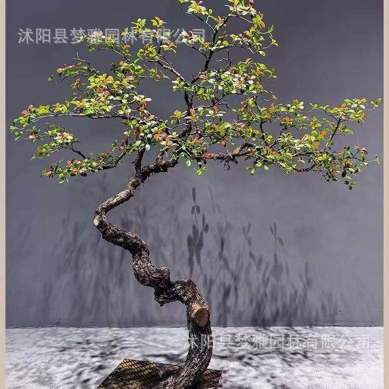 精品海岛春花仿真绿植室内装饰造景落地摆件简约植物中式茶室景观
