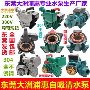 大洲浦惠水泵自吸泵清水泵全自动家用增压泵井水抽水泵WQ 1ZDB