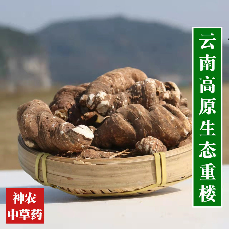 云南材重楼250g整颗新鲜干货精选特级无硫蚤休 正宗七叶一枝