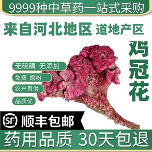 材特级野生红鸡冠干 新货红鸡冠花花 鸡髻花 鸡冠头50克