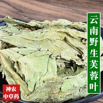云南野生材芙蓉叶500g精选特级无硫熏木芙蓉叶泡水 地芙蓉叶