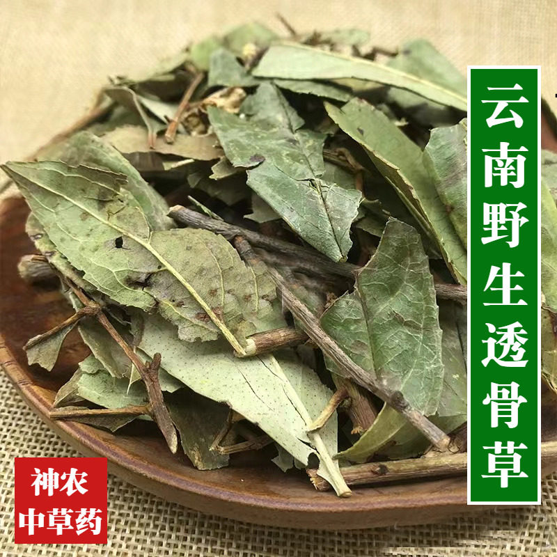 云南野生材透骨草500g当季新货农家自晒无硫熏草药另售伸筋草