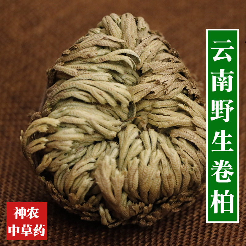 云南野生卷柏材500g精选天然无硫九死还魂草中草药还阳草正宗