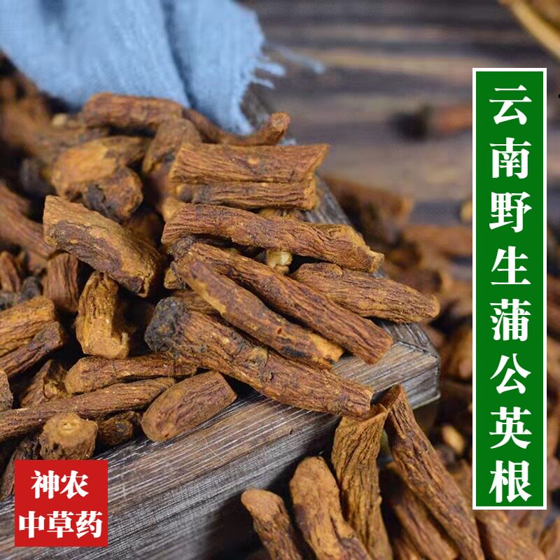 云南野生蒲公英根500g泡茶精选特级无硫新货真天然蒲公英根干货