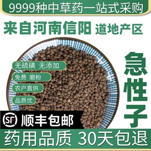 材特级野生急性子 金凤花子 凤仙籽 指甲花籽50克中草药