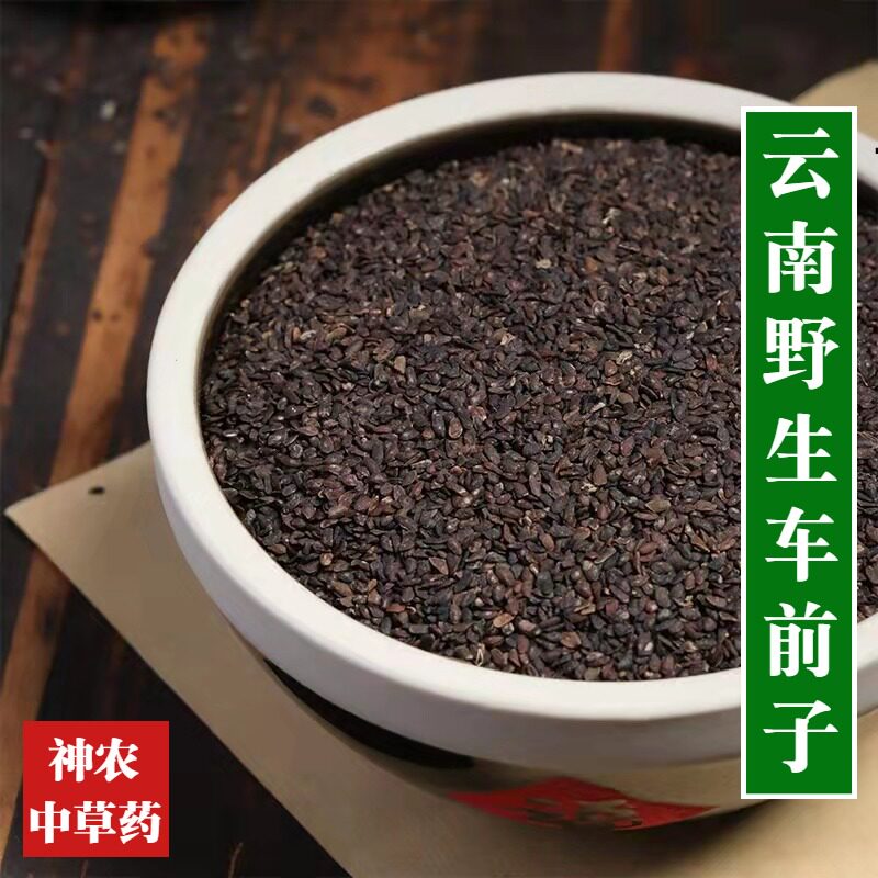 云南野生材车前子500g无硫熏精选特级草药车前草种子药食同源