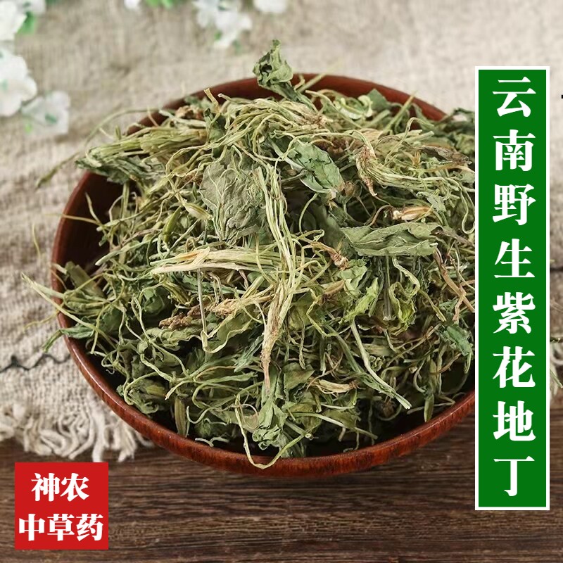 云南野生材地丁500g中草药紫花地丁精选特级苦地丁茶纯天然