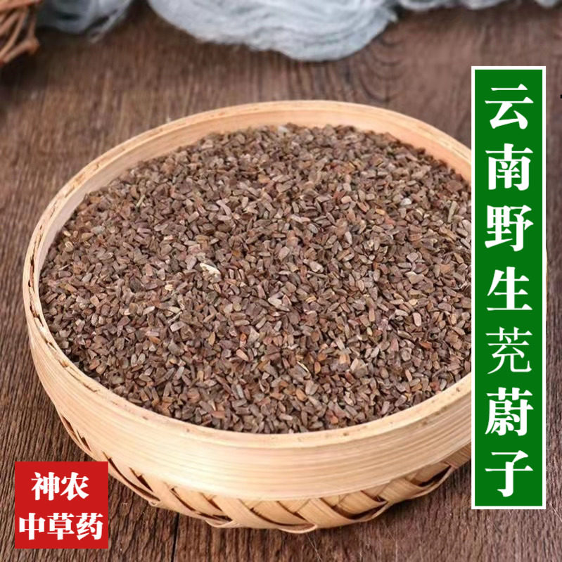 云南材野生茺蔚子500g精选特级益母草籽种子天然无硫品质保证