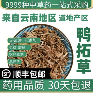 材特级野生鸭拓草 鸭跖草 鸡舌草新货鸭舌草 50克中草药