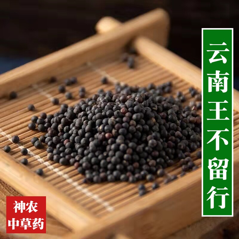 云南野生材王不留行500g  另售小通草精选特级无硫纯天然