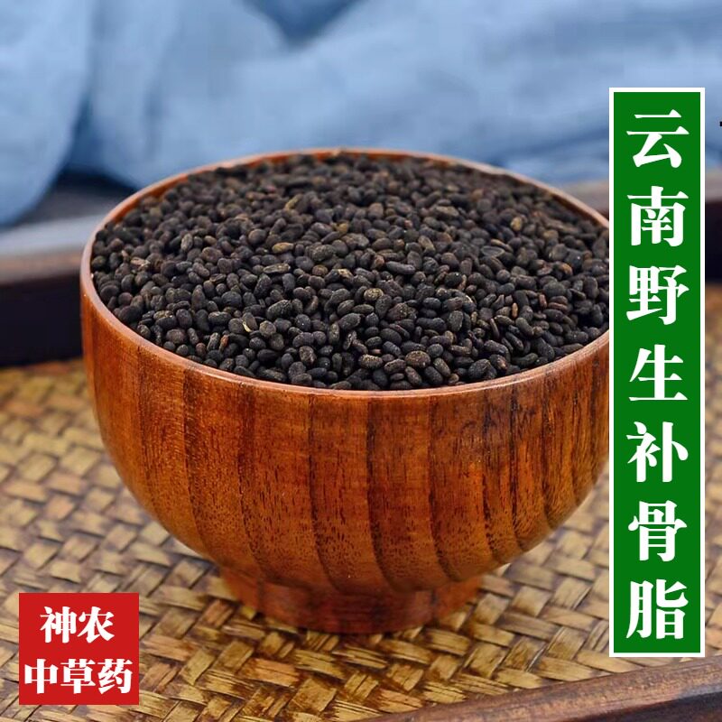 云南野生材补骨脂500g胡韭子 破故纸精选一级无硫高药效养身