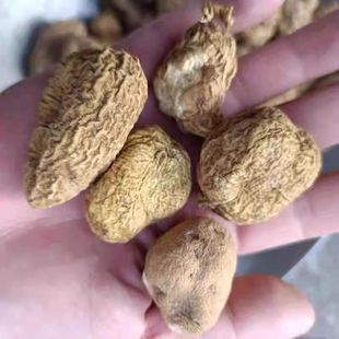 金果榄四川地苦胆自然晒干