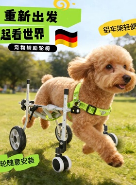 德国猫狗推车轮椅后肢残疾瘫痪康复动物辅助支架四轮代步后肢残疾