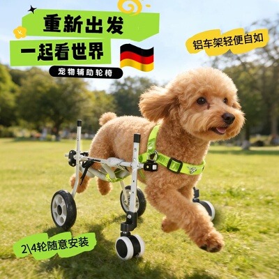 德国猫狗残疾辅助支架四轮代步