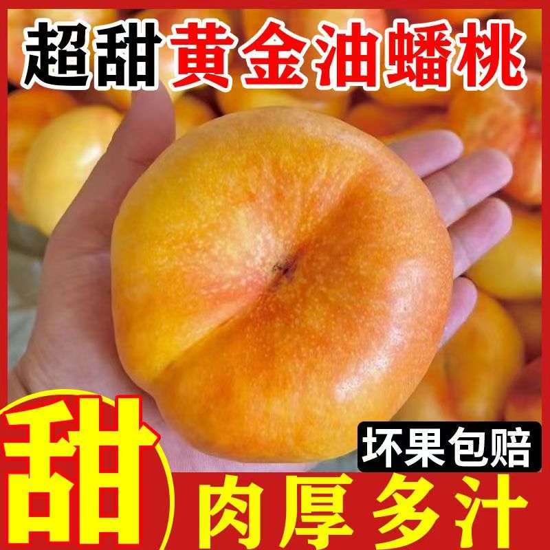 陕西彩虹黄金油蟠桃奶油蟠桃