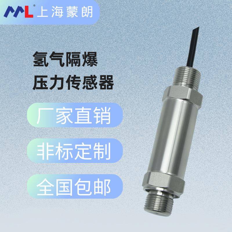 测量氢气隔爆压力传感器0-60MPa高压氢气防爆压力变送器4-20mA485