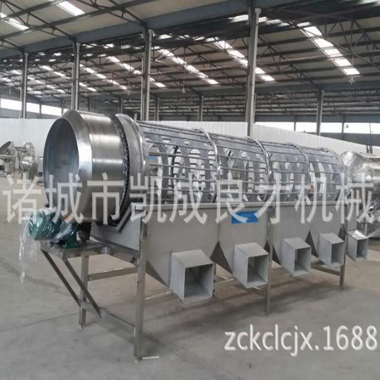 蓝莓选果机龙眼分选机精准分离不伤果快速分拣