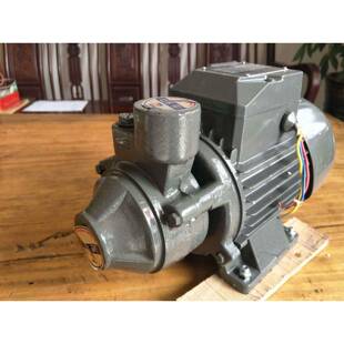 蒸汽发生器配件家用旋涡泵750W锅炉补水泵750W高压水泵多级泵