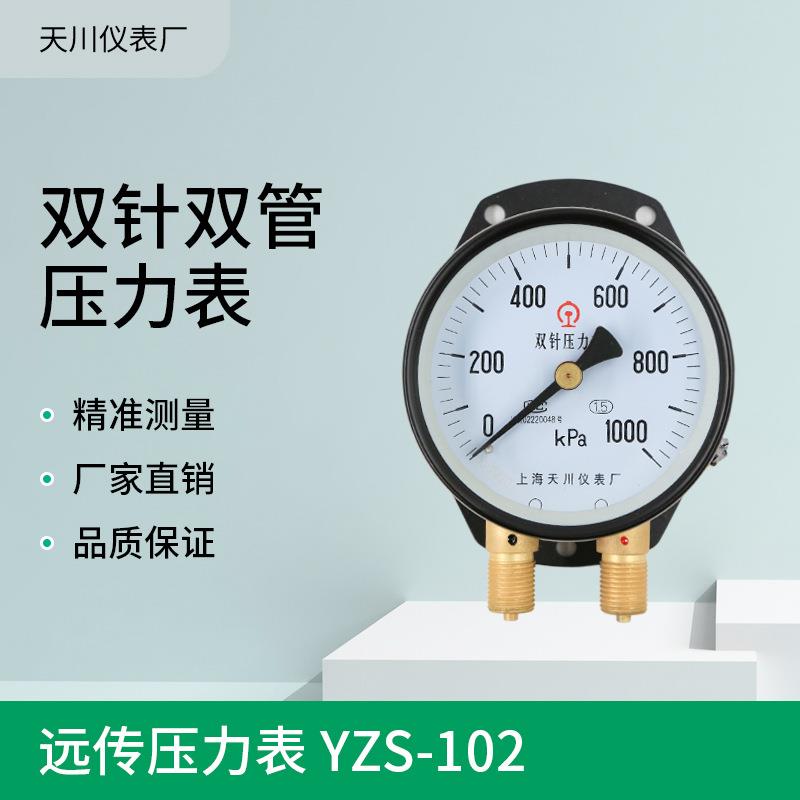 YZS-102双针双管压力表铁路面板压力表1000KPa上海压力表