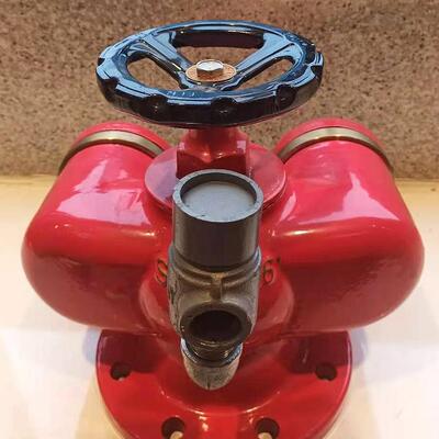 天广 SQD多用式消防水泵接合器球墨铸铁SQS老式水泵接合器