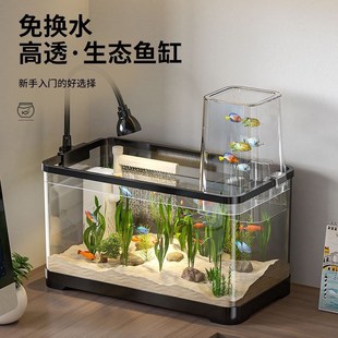 desktop Landscape goldfish fishn fish tank