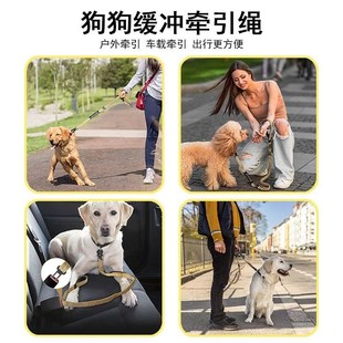 dog leash functional safety Multi supplies lzeash car Pet