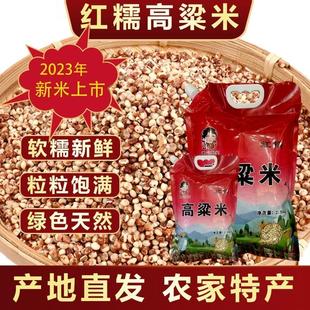 新货粟健粟美红糯高粱米粟健粟美高粱米正宗东北粘高粱米栗健栗美