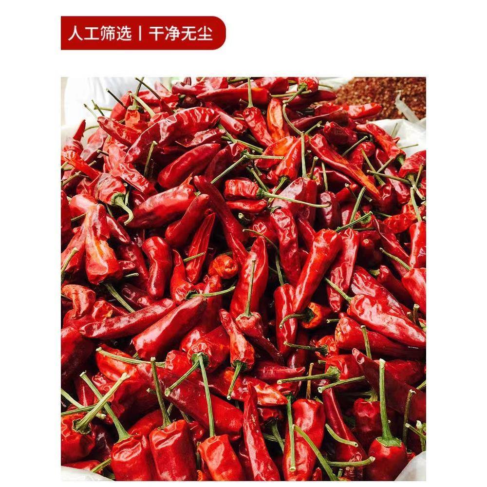 优质福建古田辣椒王干 干辣椒特辣香辣椒武汉黑鸭专用可切段磨粉5