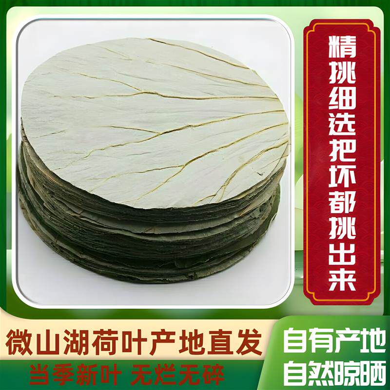 新日期荷叶糯米鸡专用荷叶干包糯米鸡的荷叶新鲜无硫天然方片完整